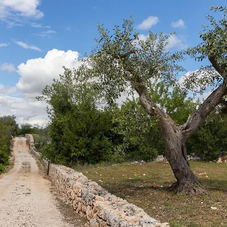 Trulli Tower Putignano